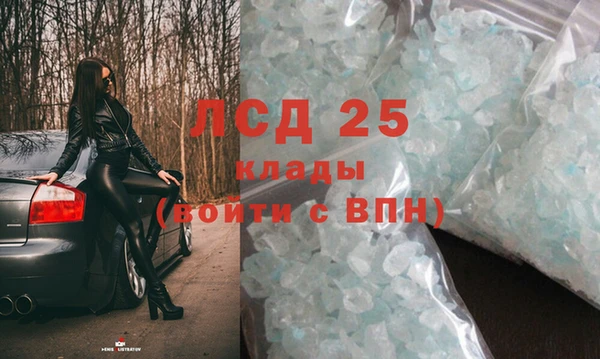 СК Сосновый Бор