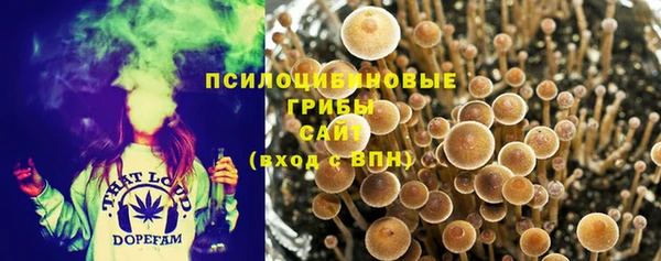 МДМА Лагань