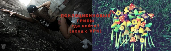 МДМА Лагань