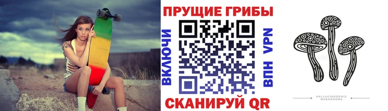 Псилоцибиновые грибы Psilocybe Усмань