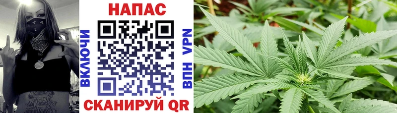 цена наркотик  Усмань  Конопля OG Kush 
